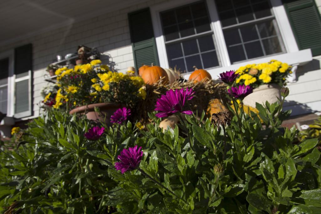 Golden Gables Inn North Conway Exteriér fotografie